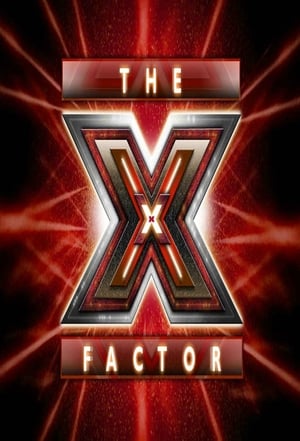 Factor X España poszter