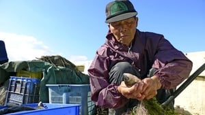 Fish! A Japanese Obsession háttérkép