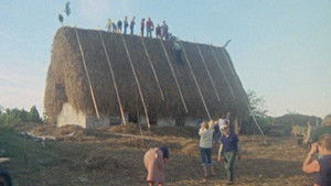 Fårödokument 1979 háttérkép