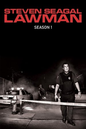 Steven Seagal - Az igazságosztó