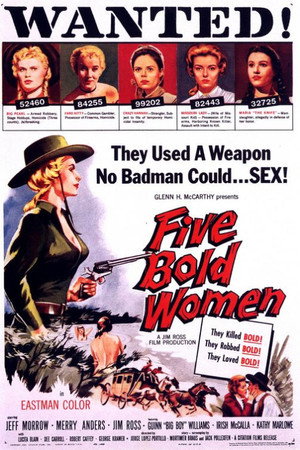 Five Bold Women poszter