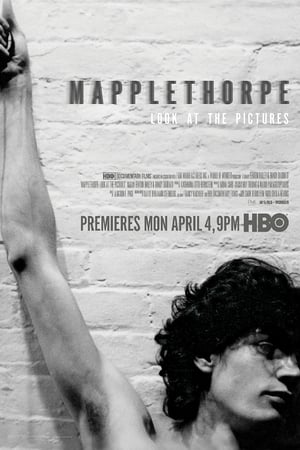 Mapplethorpe: Look at the Pictures poszter