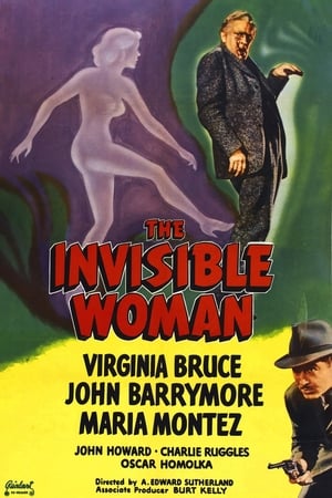 The Invisible Woman poszter