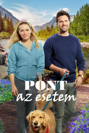 Pont az esetem