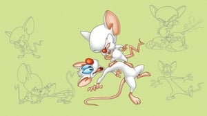 Pinky and the Brain kép