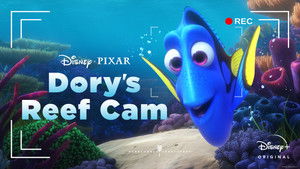 Dory's Reef Cam háttérkép