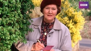 Hetty Wainthropp Investigates kép