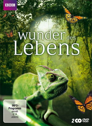 Wonders of Life poszter