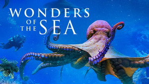Wonders of the Sea 3D háttérkép