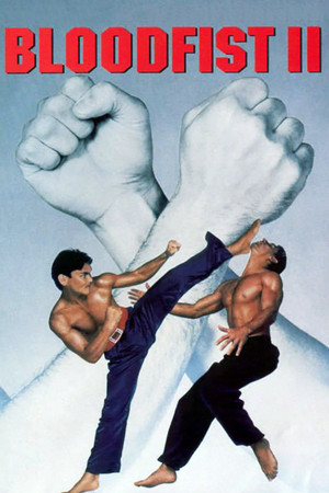 Kickbox harcos 2 poszter