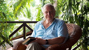 Attenborough - 60 év a vadonban háttérkép