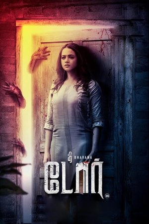 தி டோர் poszter