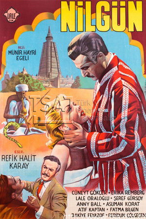 Nilgün poszter