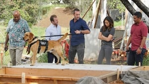 Hawaii Five-0 8. évad Ep.16 16. epizód