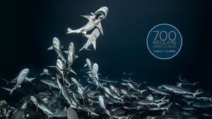 700 requins dans la nuit  (Gombessa 4, la genèse) háttérkép