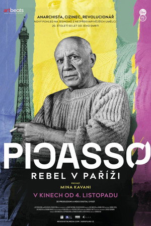 Picasso a Parigi - Storia di una vita e di un museo poszter