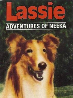 Lassie: The Adventures of Neeka