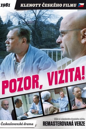 Pozor, vizita! poszter