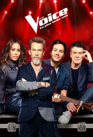 The Voice : La Plus Belle Voix