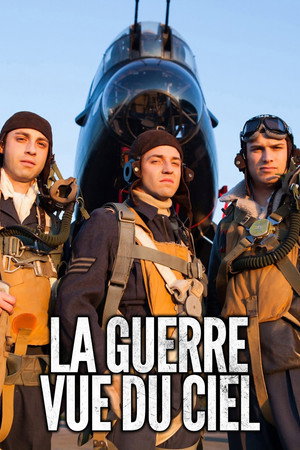 War Heroes of the Skies poszter