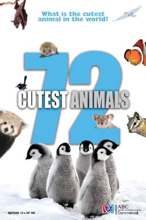 72 Cutest Animals poszter