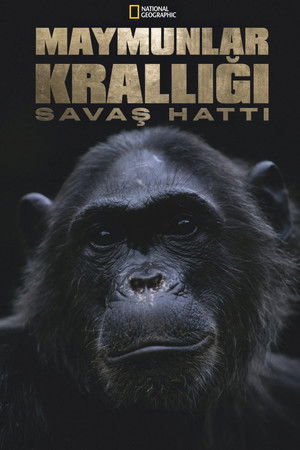 Kingdom of the Apes: Battle Lines poszter