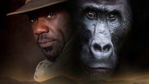 Silverback háttérkép