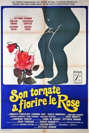 Son tornate a fiorire le rose poszter