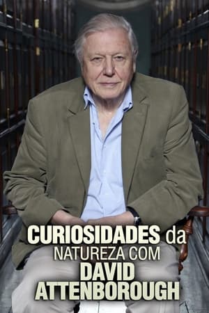 A természet furcsaságai David Attenborough-val poszter