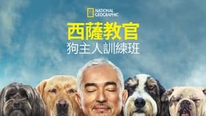 Cesar Millan: Jó gazdi, jó kutya kép