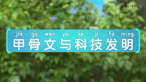 斑马百科 24. évad Ep.6 6. epizód
