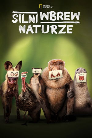 Bizarr természet poszter