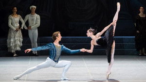 Swan Lake háttérkép