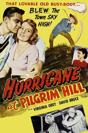 Hurricane at Pilgrim Hill poszter