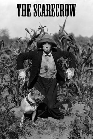 The Scarecrow poszter