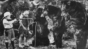 Bear Facts háttérkép