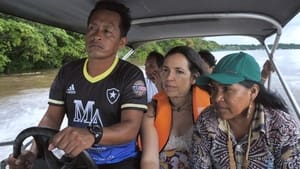 Amazonie, à la rencontre des gardiens et des gardiennes de la forêt háttérkép