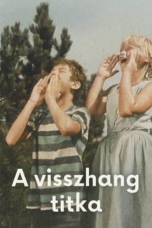 A visszhang titka poszter