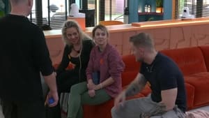 Big Brother 4. évad Ep.21 21. epizód