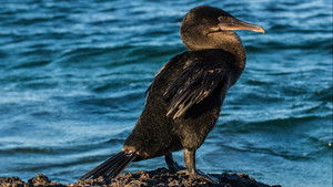 The Wonder List with Bill Weir Season 1 Ep.2 2. epizód