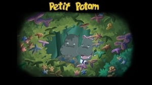 Petit potam háttérkép