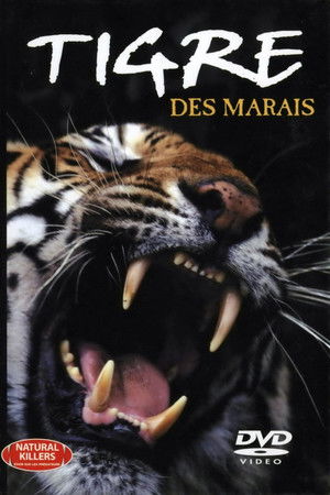 Mocsári tigris poszter
