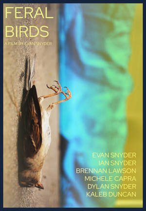 Feral Birds poszter