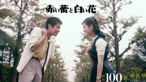 赤い蕾と白い花 háttérkép
