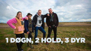 1 døgn, 2 hold, 3 dyr kép