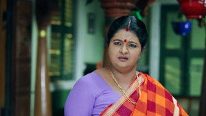 சின்னதம்பி Season 1 Ep.36 36. epizód