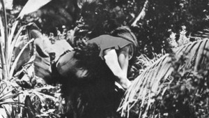 Bride of the Gorilla háttérkép