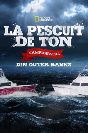 Tonhal-csaták: Outer Banks poszter