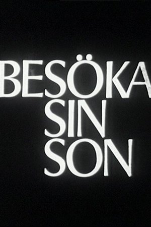 Besöka sin son poszter