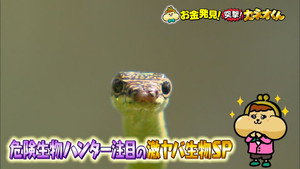 有吉のお金発見　突撃！カネオくん 2. évad Ep.242 242. epizód